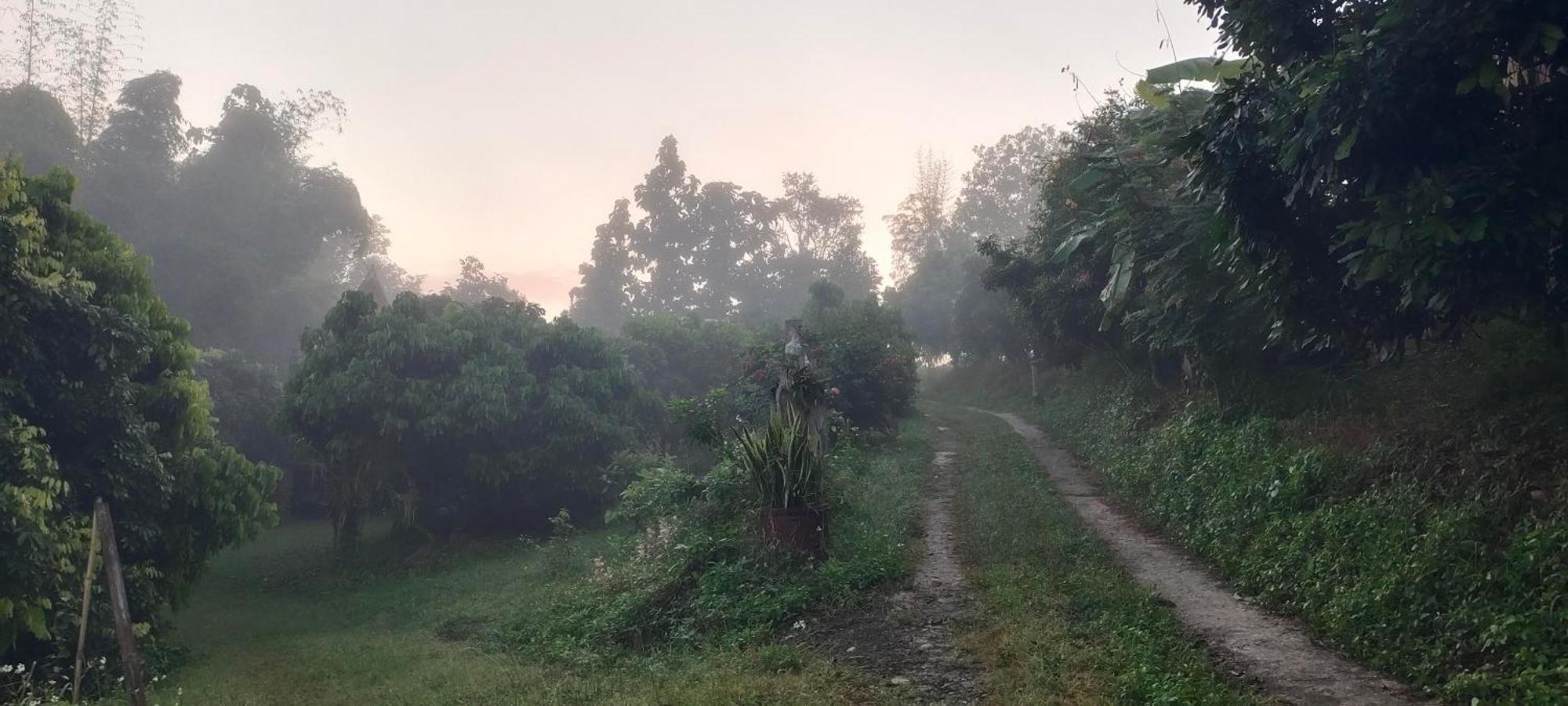 Baan 2 Dao Farmstay Чианг Дао Екстериор снимка