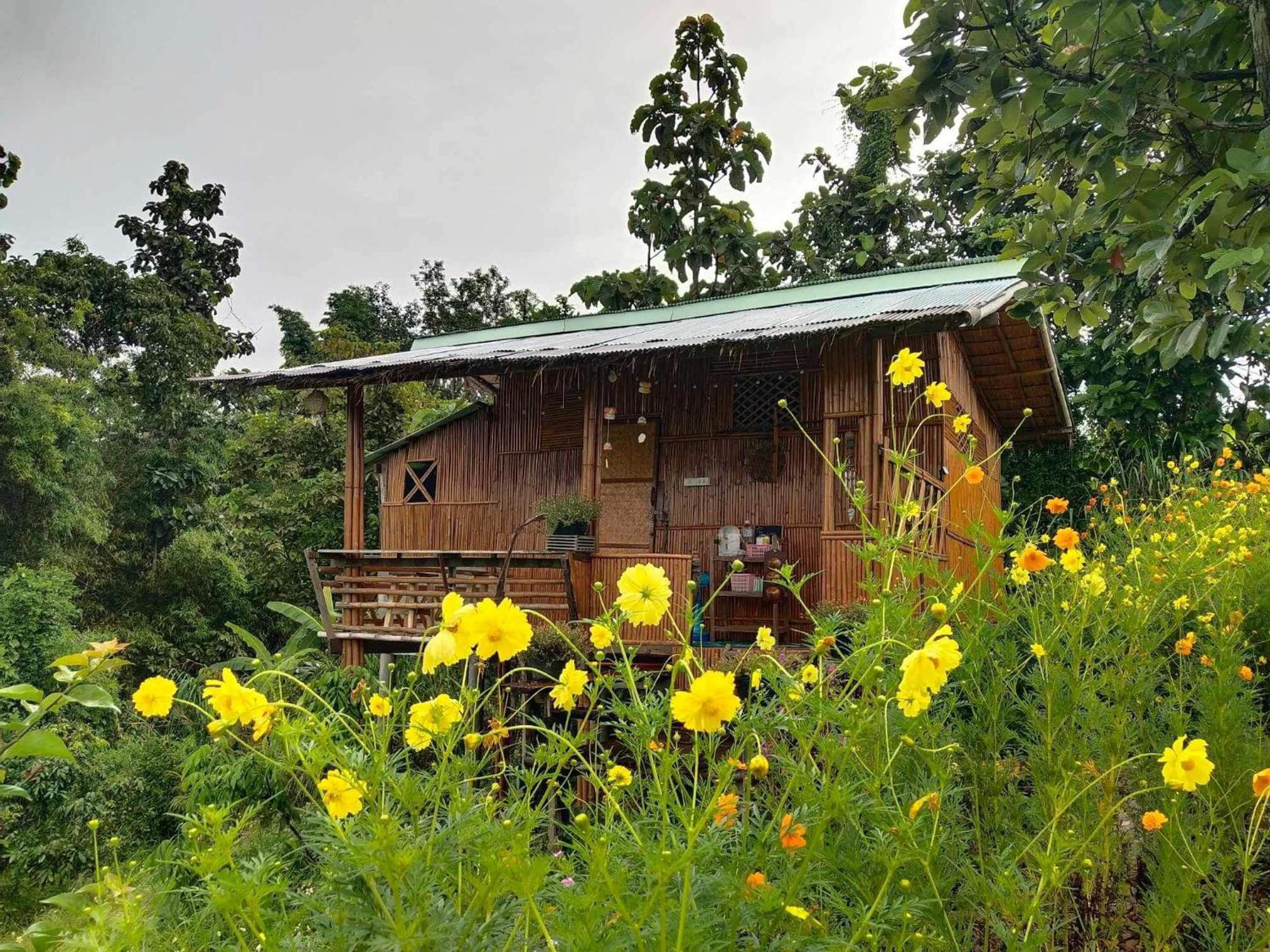 Baan 2 Dao Farmstay Чианг Дао Екстериор снимка