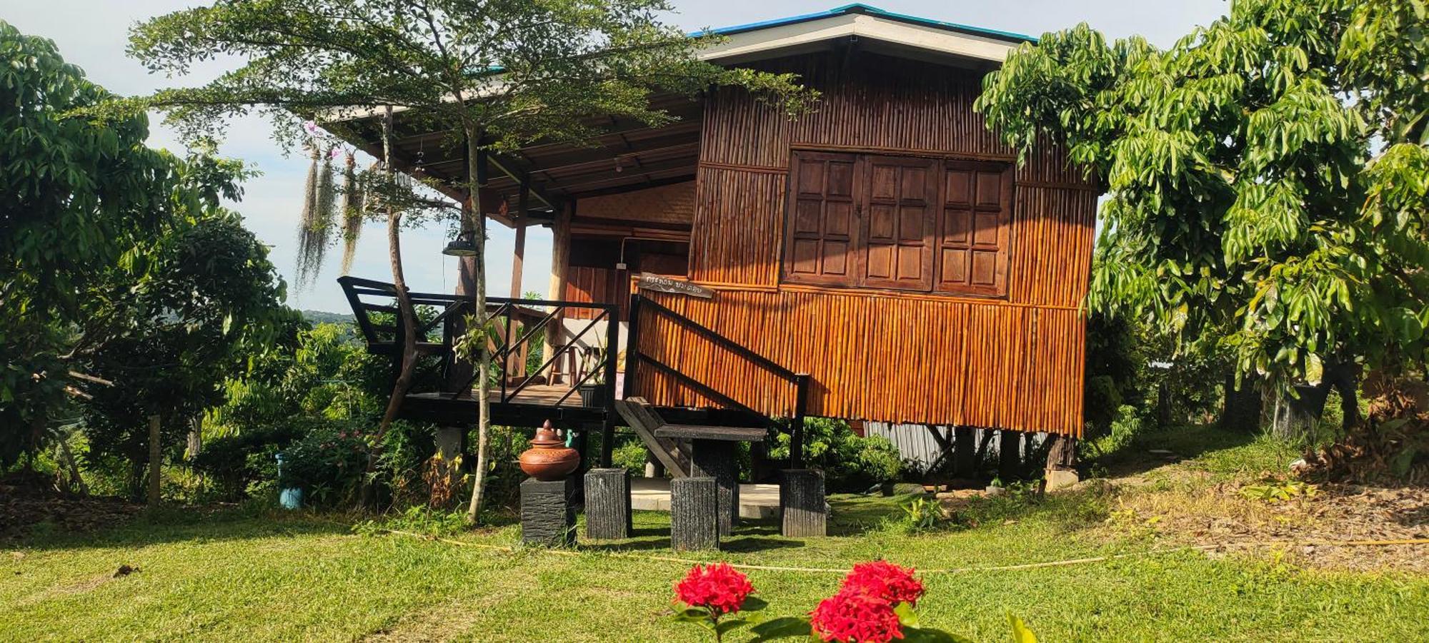 Baan 2 Dao Farmstay Чианг Дао Екстериор снимка
